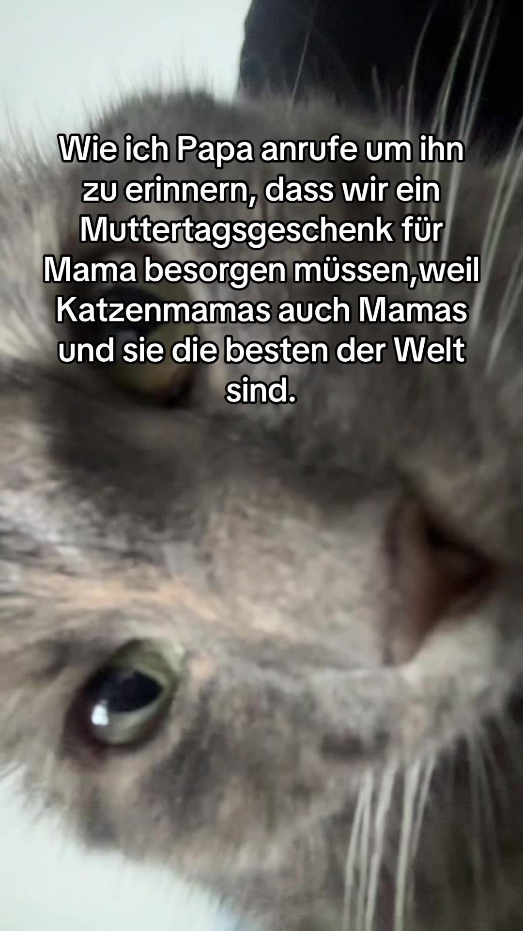 @Happykittycats_