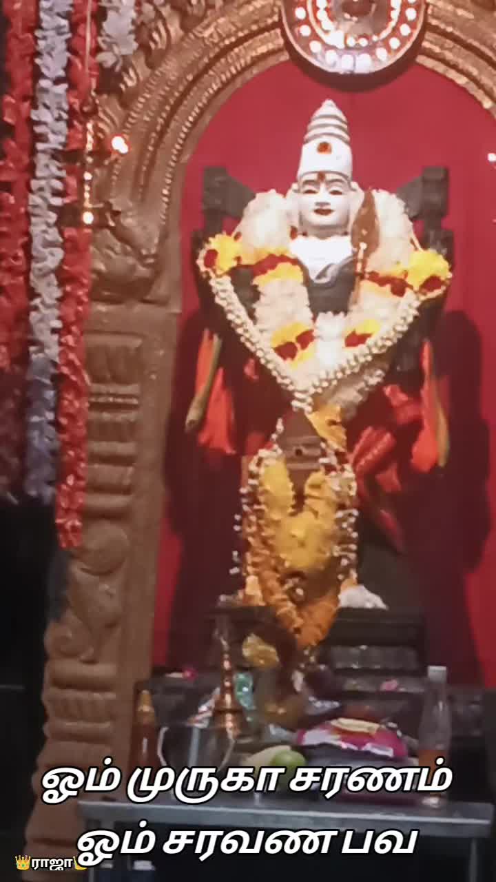 @sree_raj