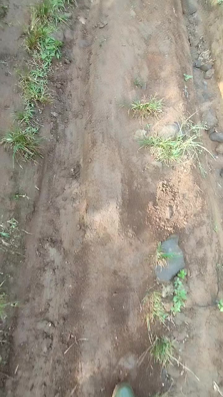 @ayii