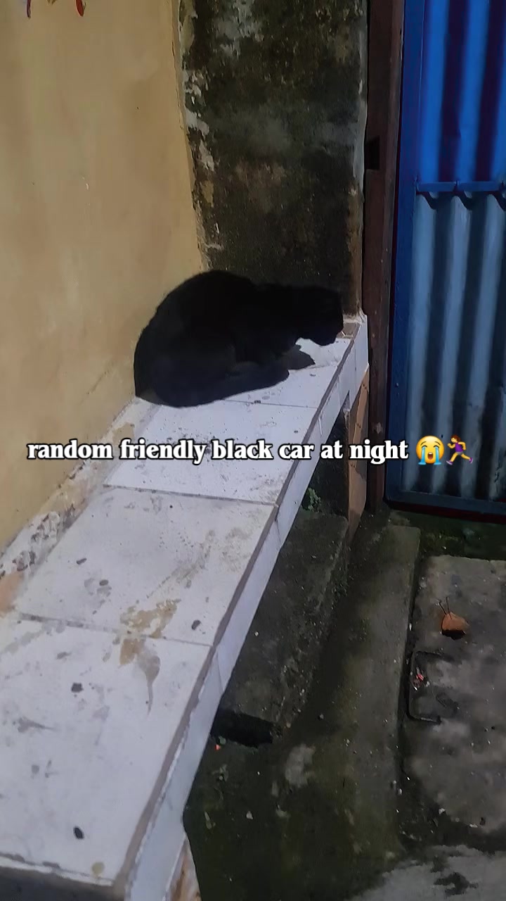 @๐ฉ