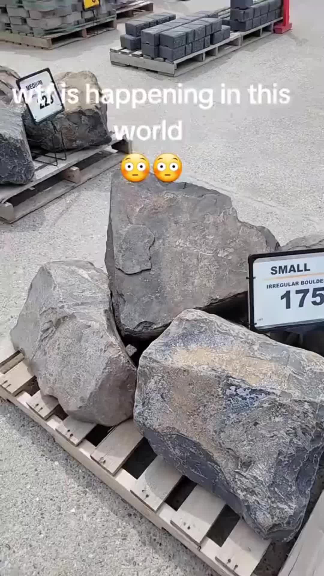 @danhamer-420