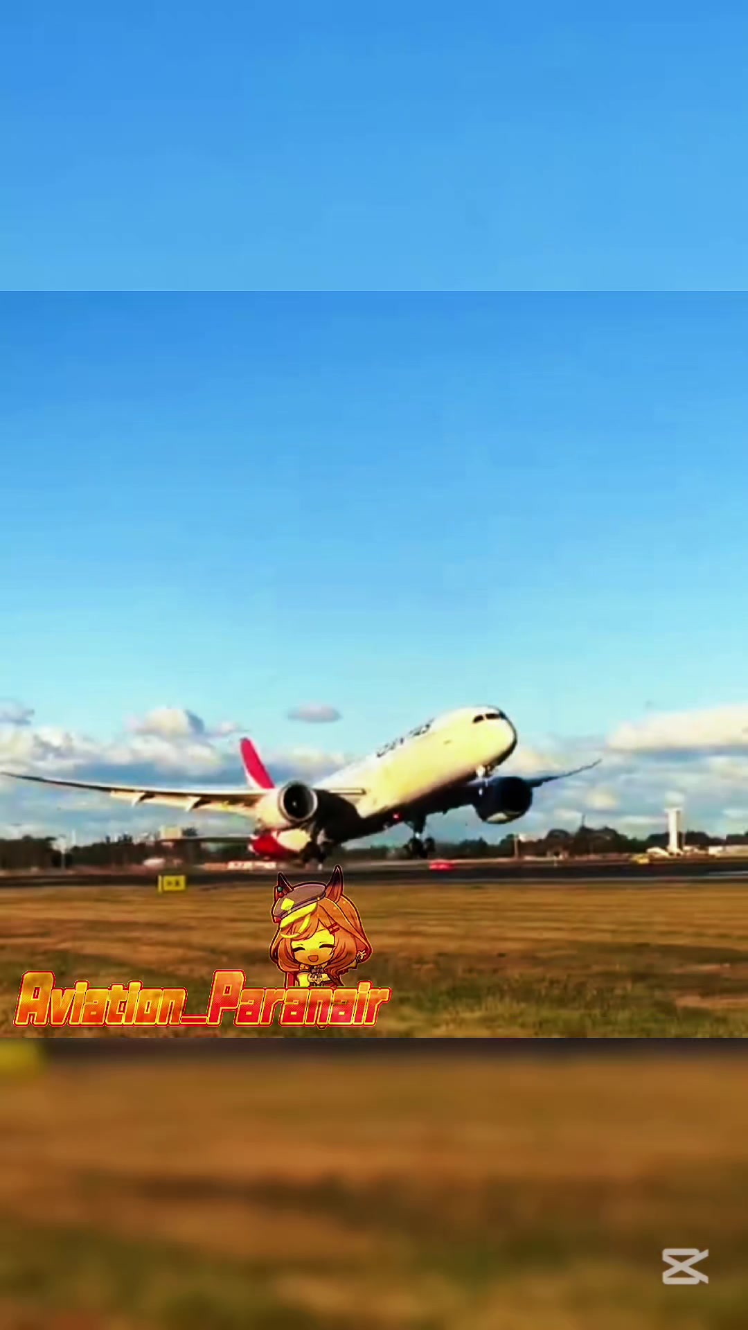 @Aviation_Paranair🇵🇾
