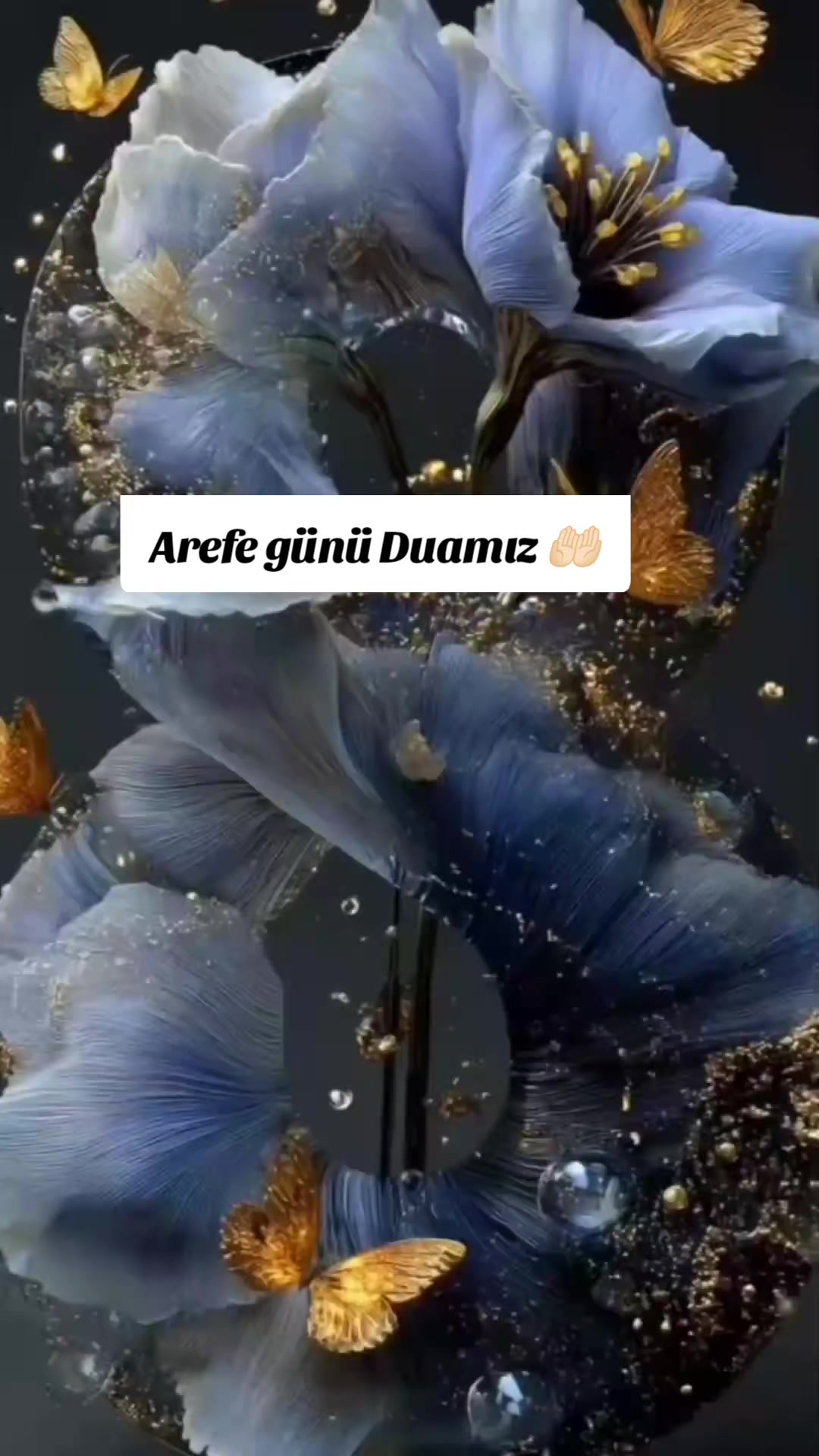 @hayat nereye gidiyor