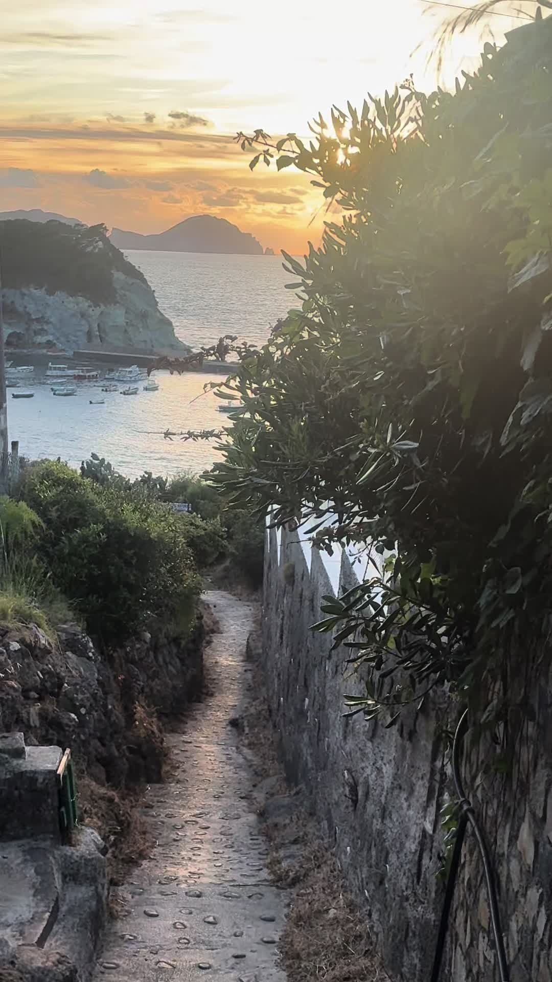 @Antonietta Fontanarosa