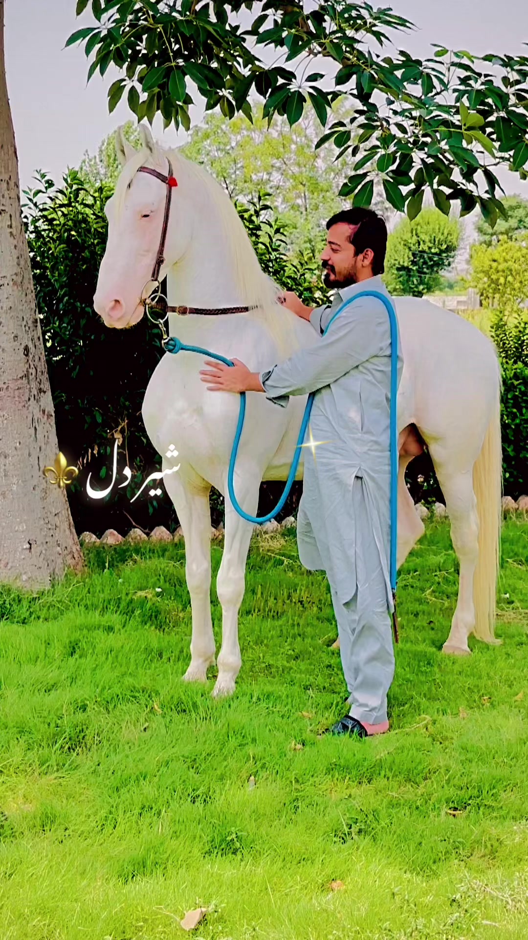 @مرزا قزل