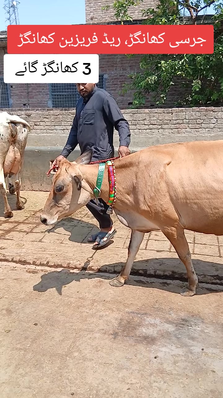 @Farming and Business Ideas