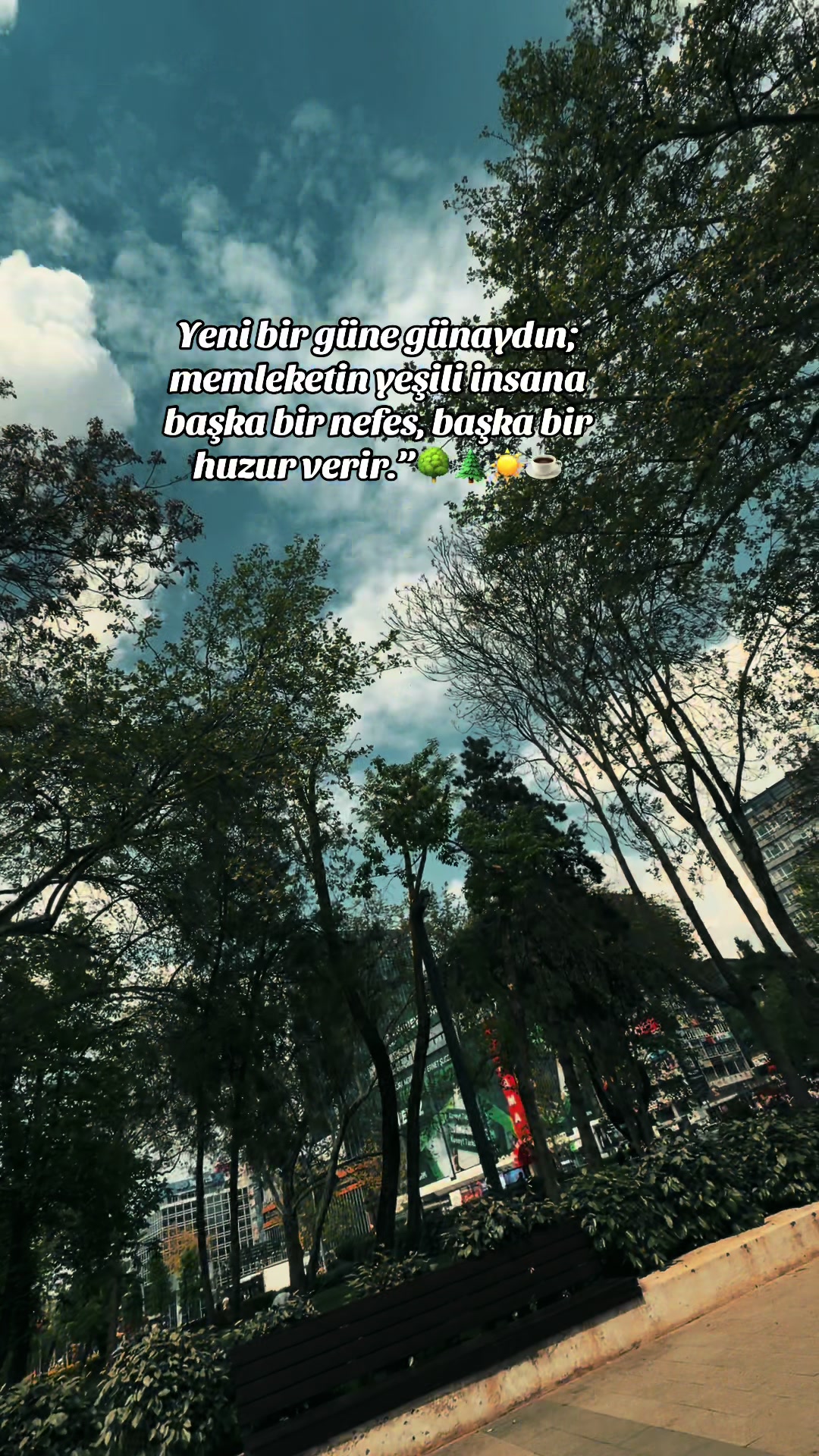 @🧿🇹🇷𝔻 𝐣🇹🇷🧿⚭⚭