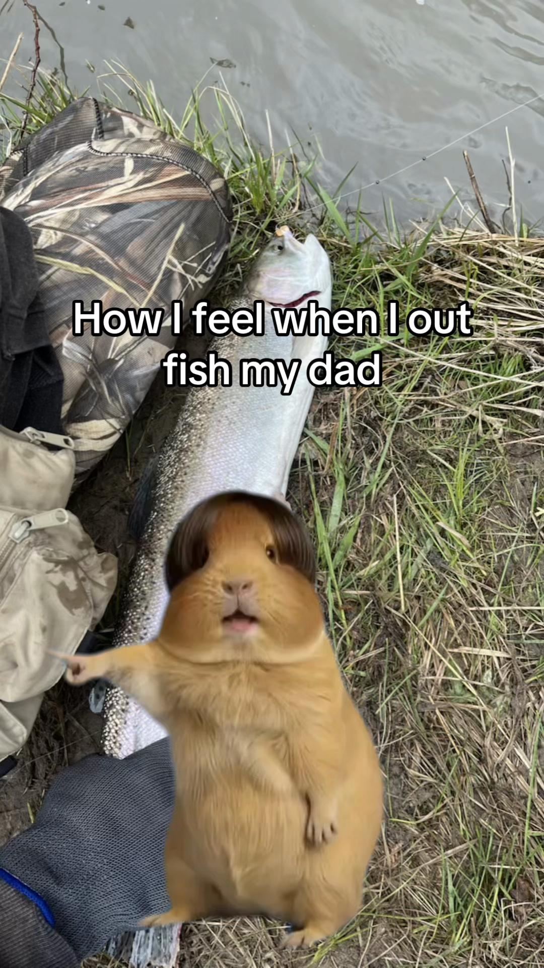 @yzxezz 🎣