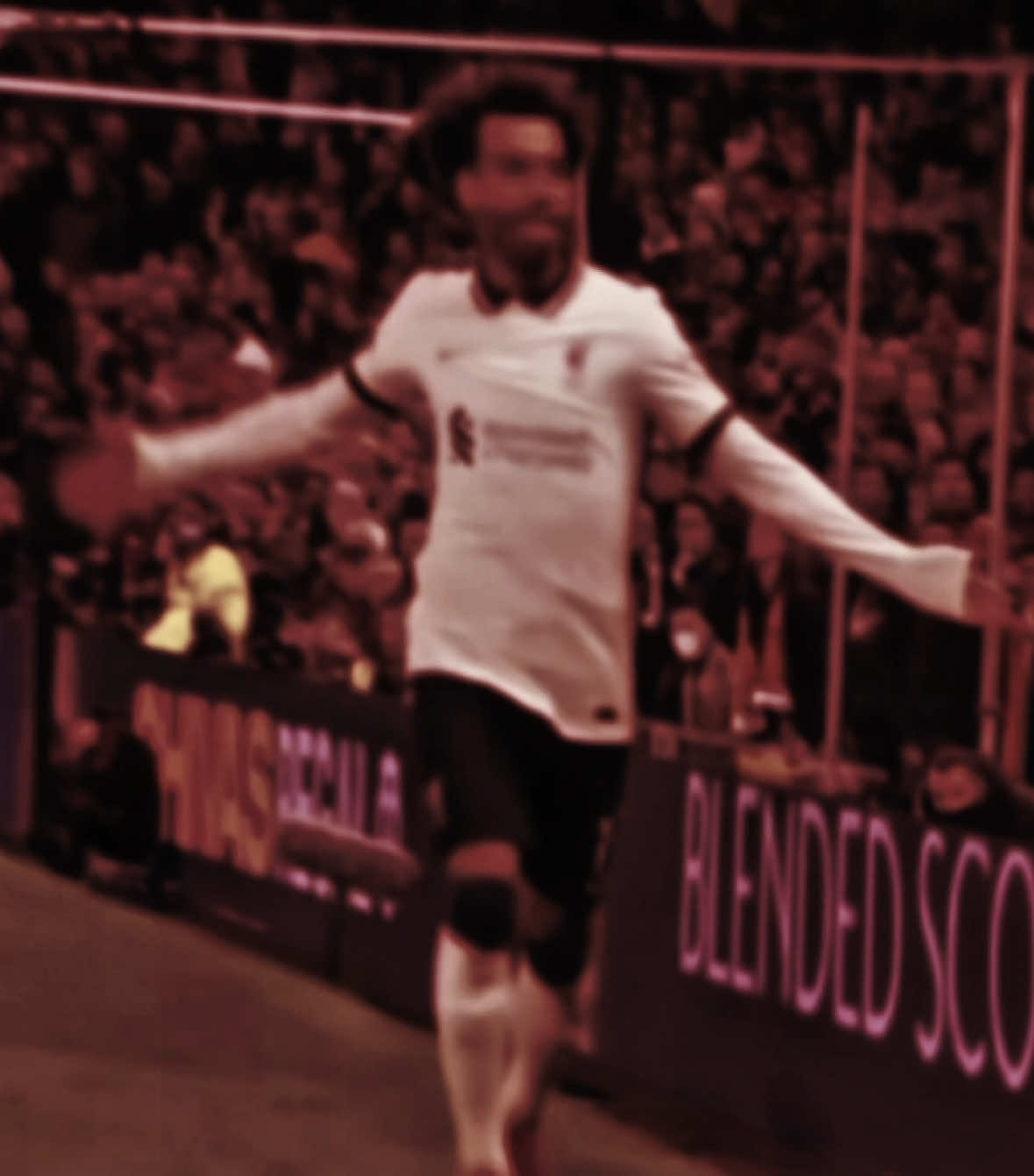 @̷K̷̷u̷̷r̷̷o̷̷g̷̷i̷🇪🇬👑