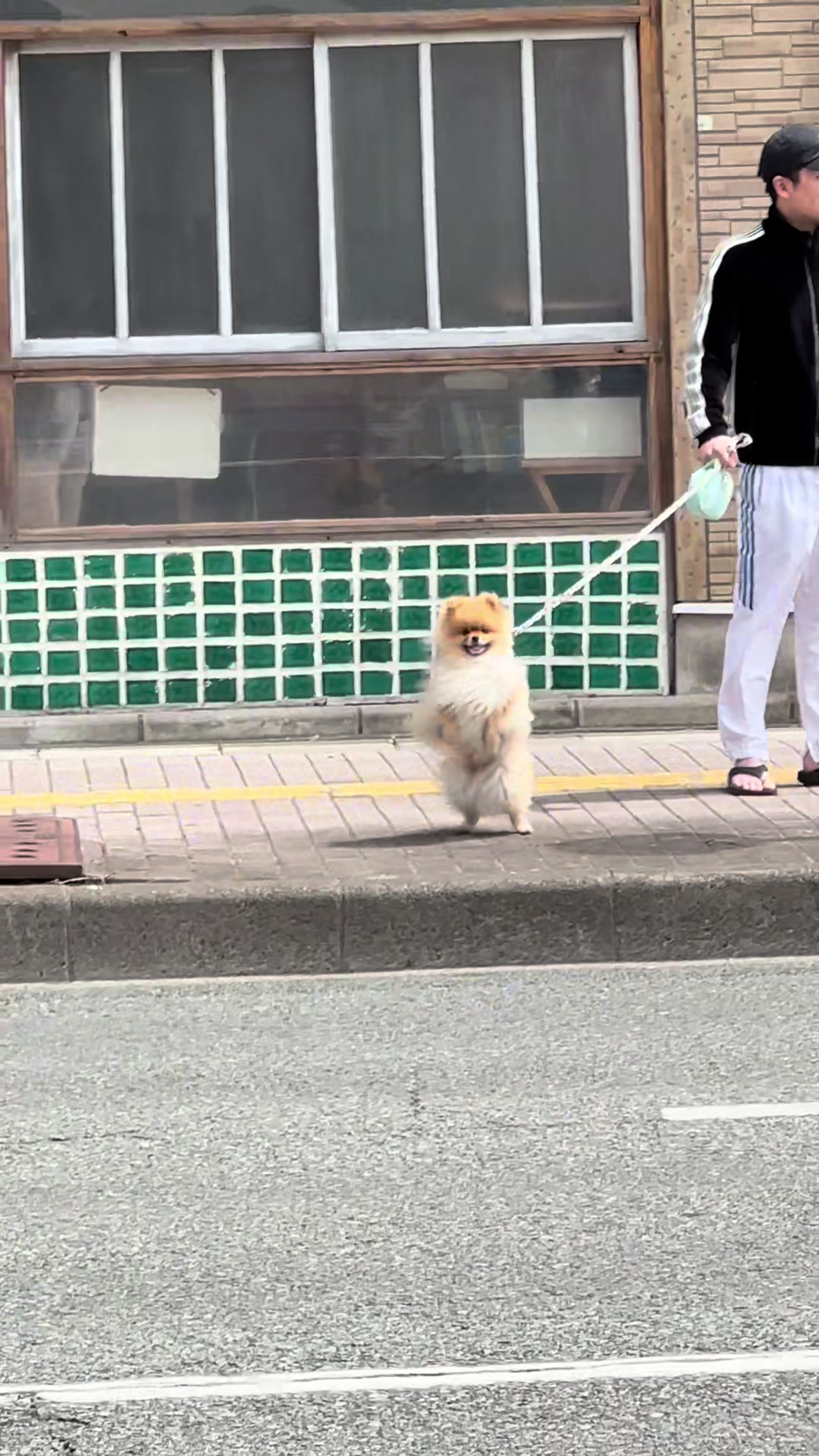 @チャック🐶