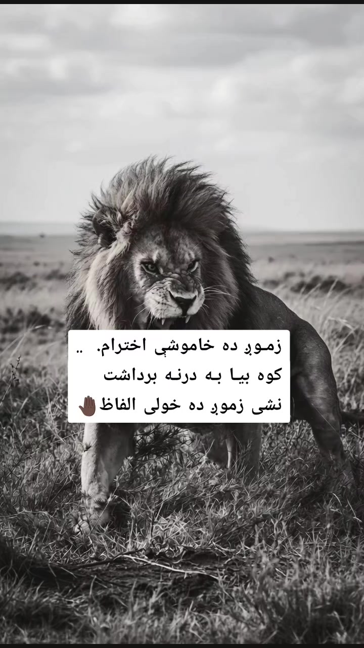 @ཀོ لـیــونـͫــͣــͥوو ཀོ