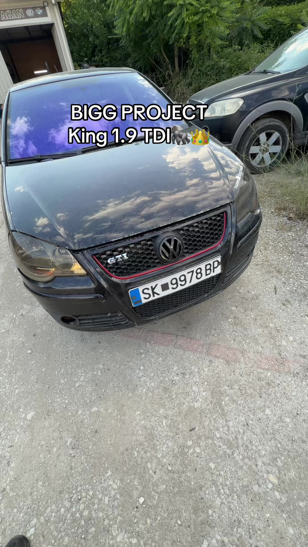 @KingPolo👑
