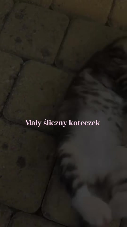 @_𝐣𝐮𝐥𝐚_