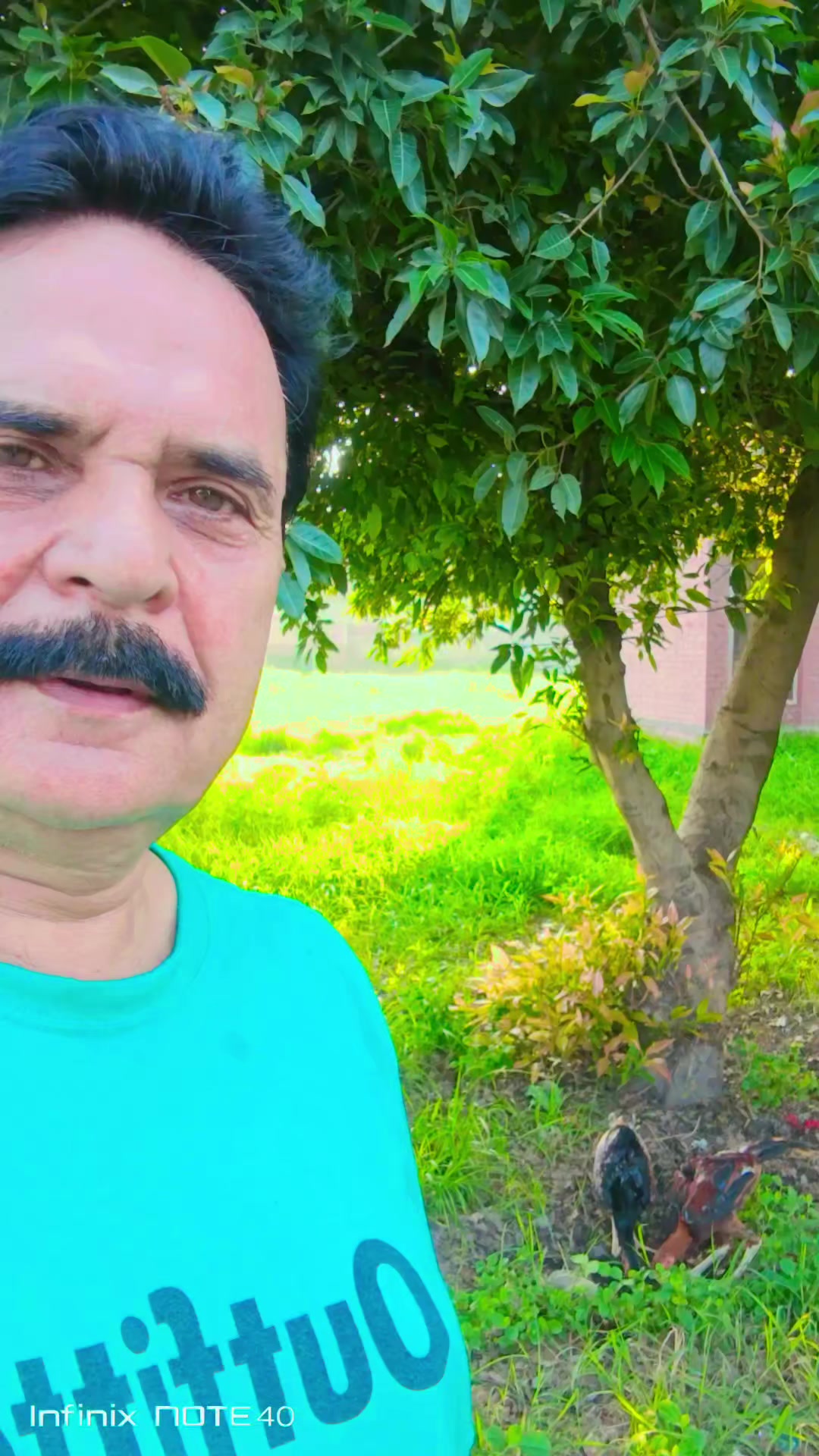 @Muhammad Ameen