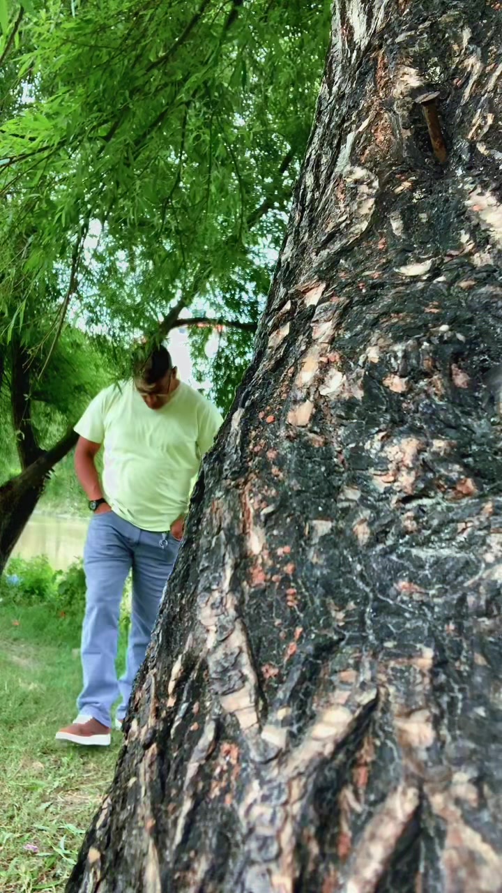 @कृष्ण गुभाजु