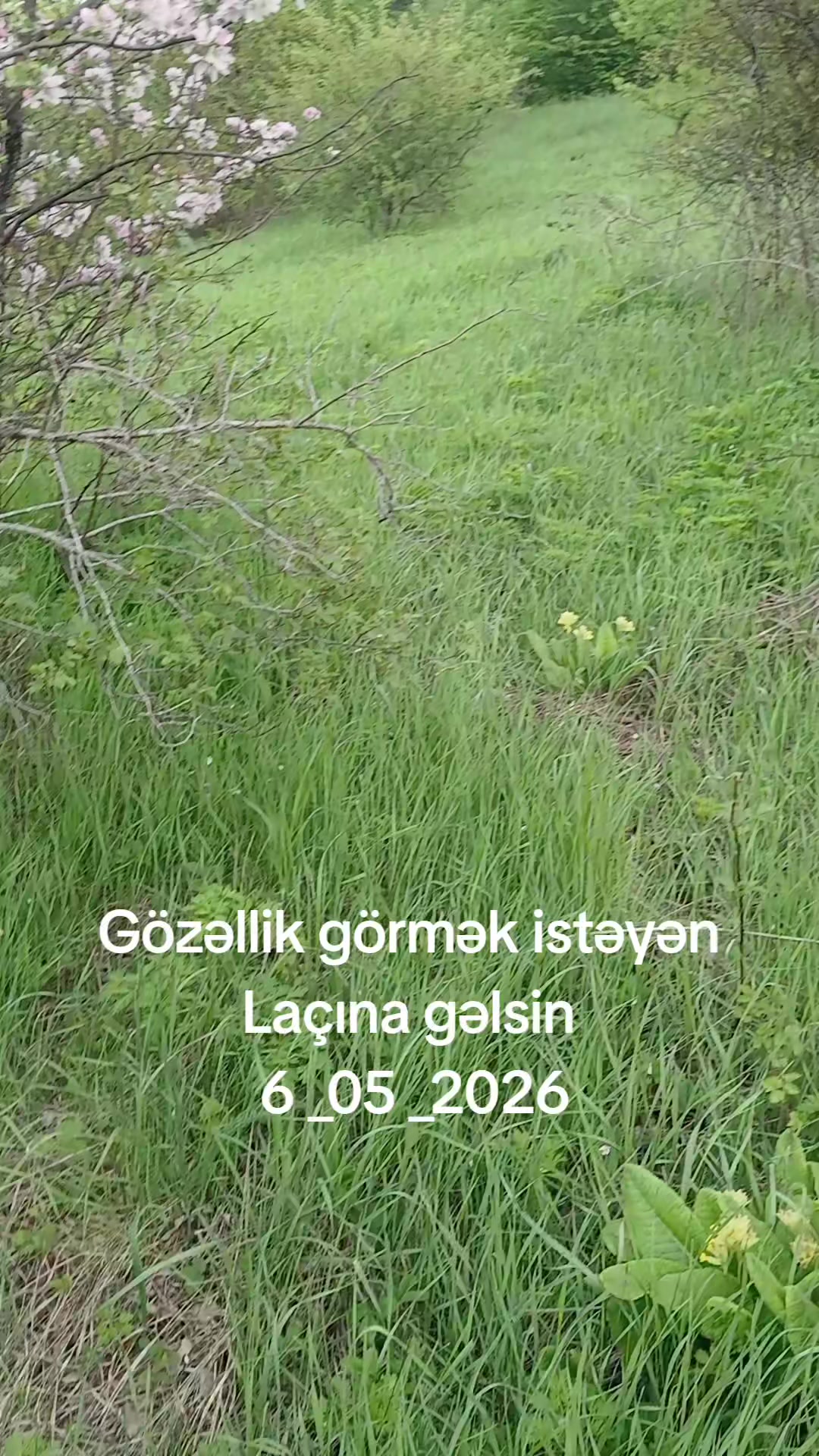 @VETERAN  041