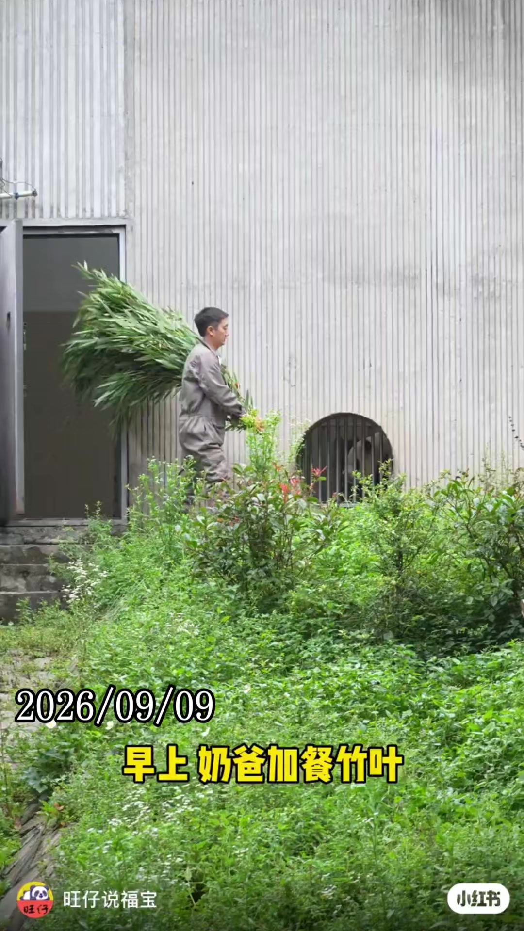 @福寶需要愛的抱抱