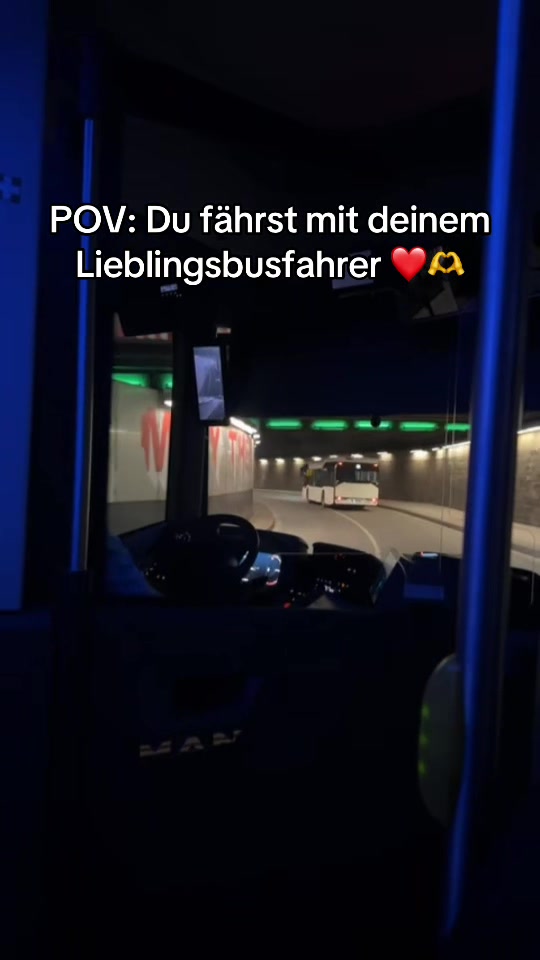 @niklas_steini