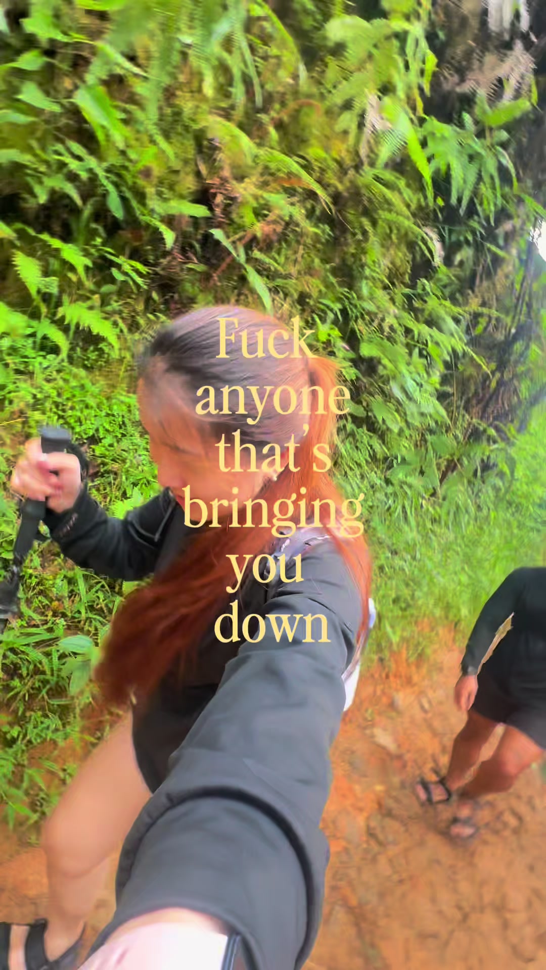 @chelink