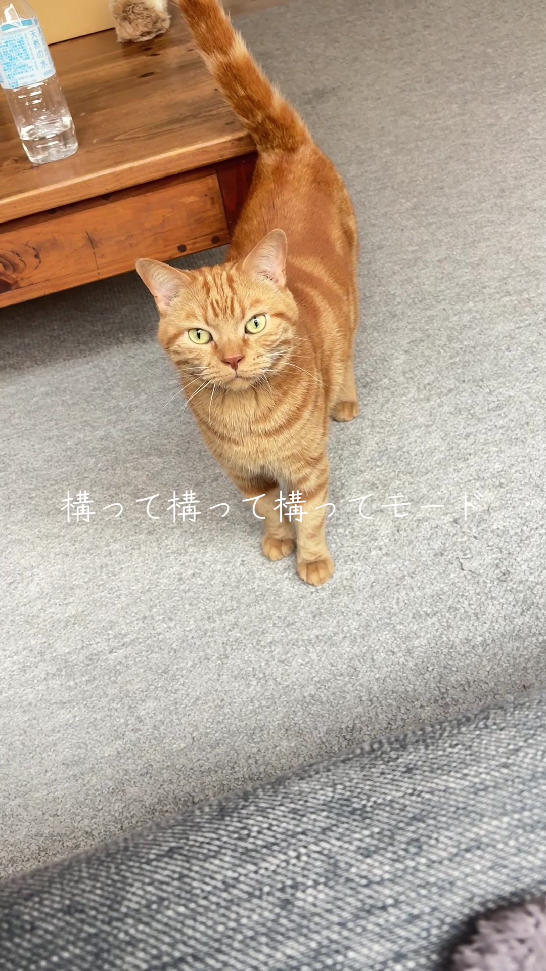 @さまむ〜