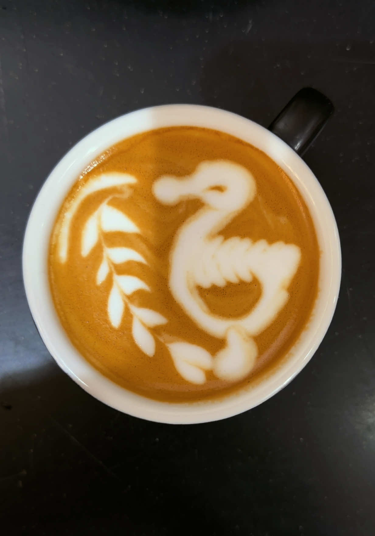 @✨ “BaristaEmon”☕