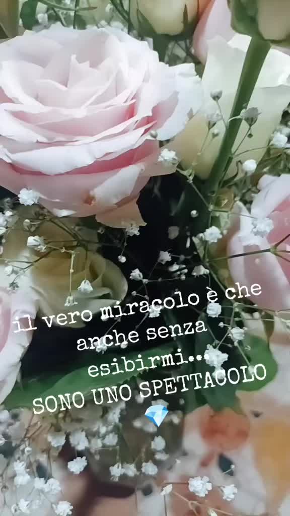 @Rita Spinelli852