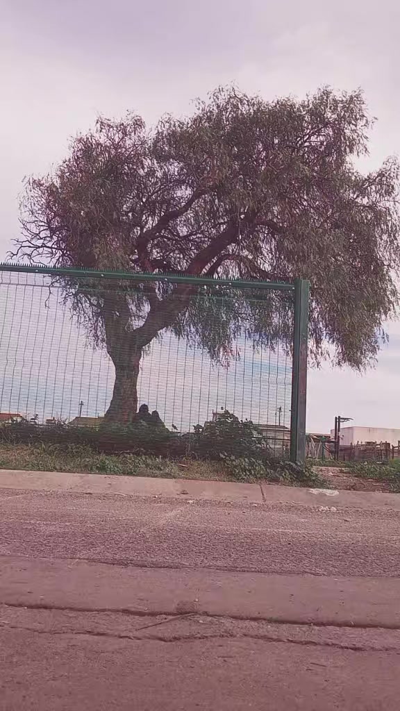 @𝓚𝓾𝓷𝓰𝓪𝔀𝓸 𝓚𝓫𝓪𝓮 ❦︎❀♡︎