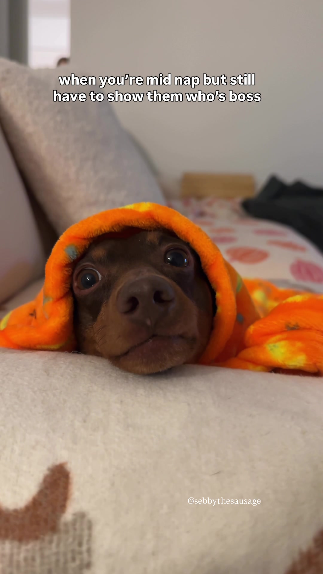 @sebbythesausage