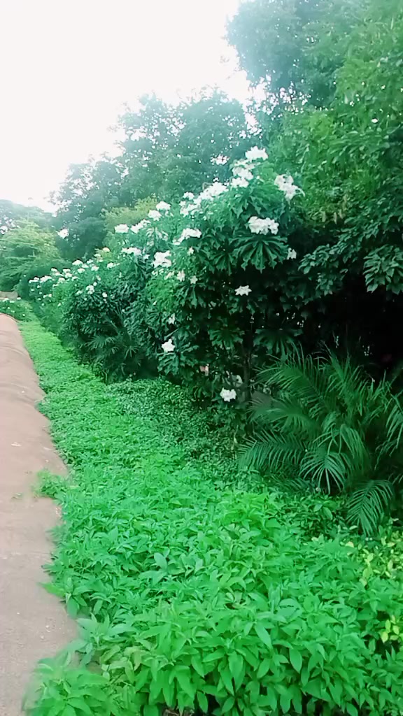 @Kamala Khati