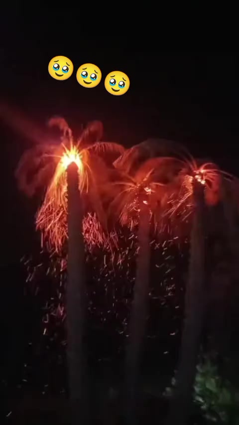 @marihaqueen101