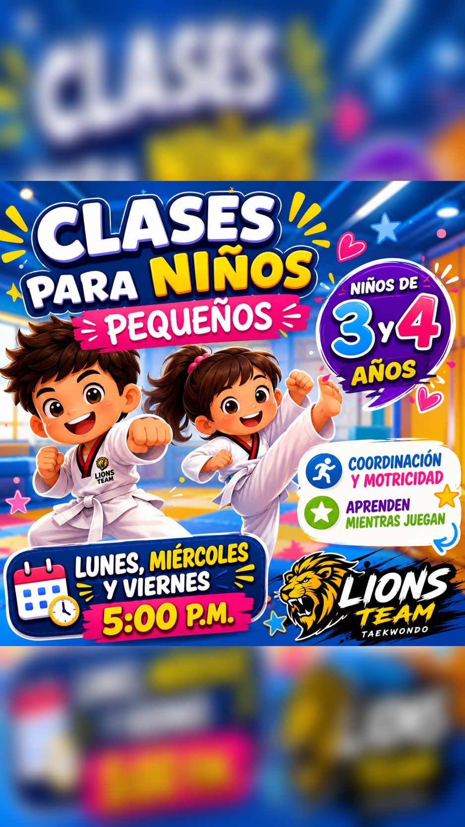 @taekwondolionsteam