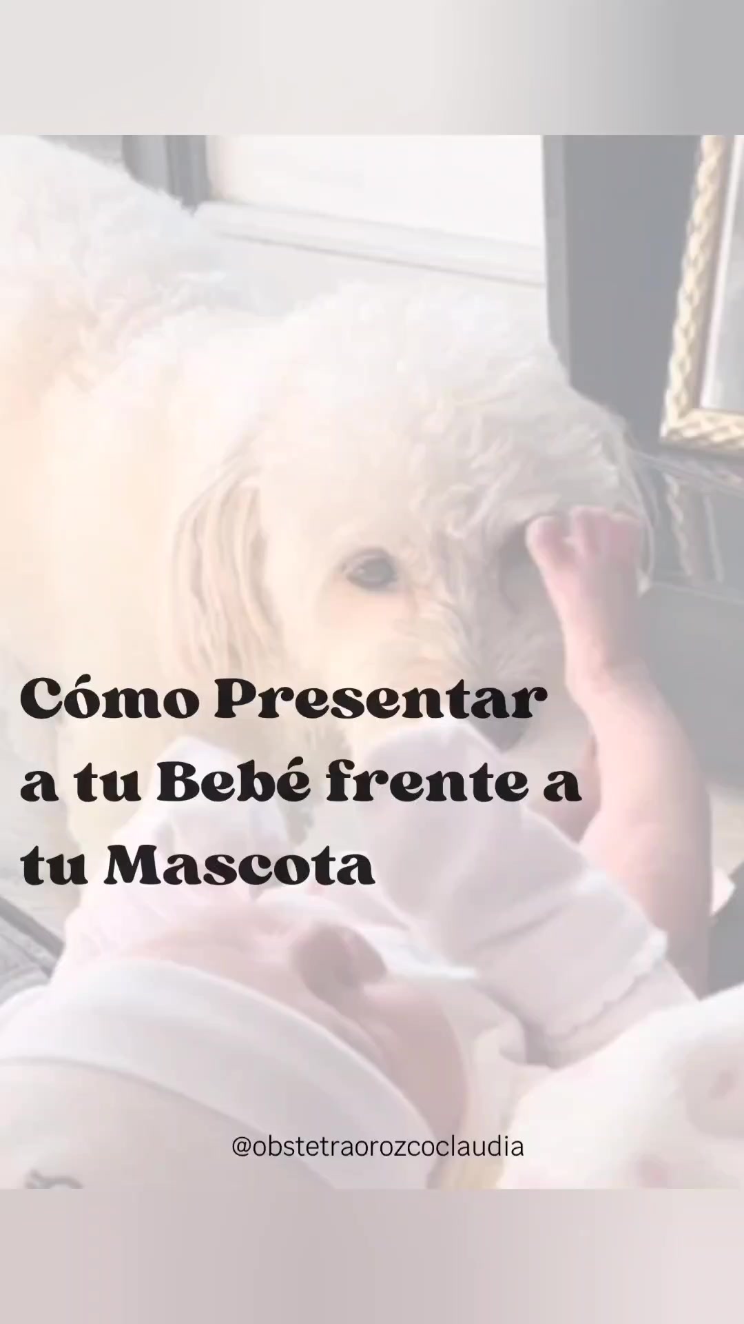 @Obstetra Orozco Claudia