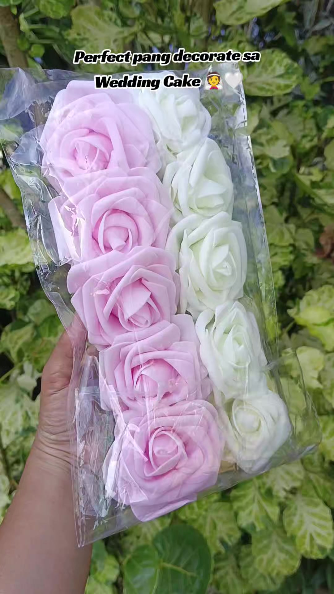 @@gin♡