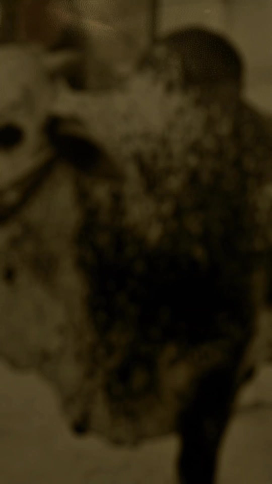 @𝐌 𝐑 _𝐗