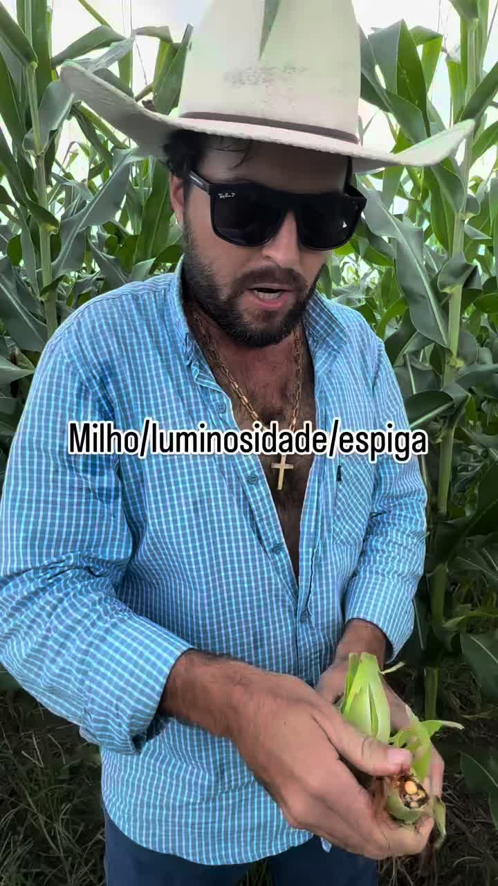 @Agrotaigo