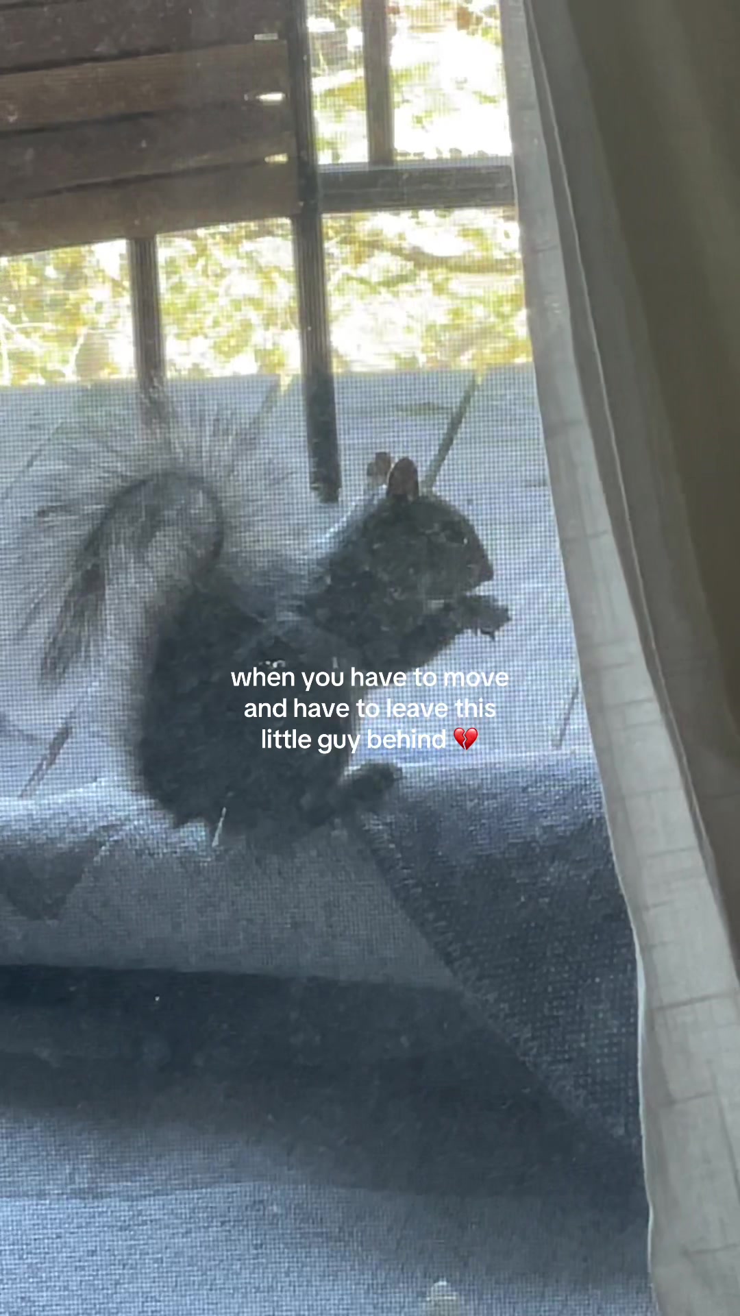 @A