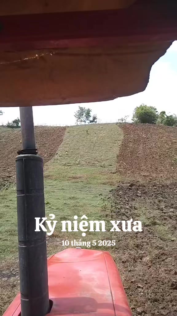 @@Ama &yacute;