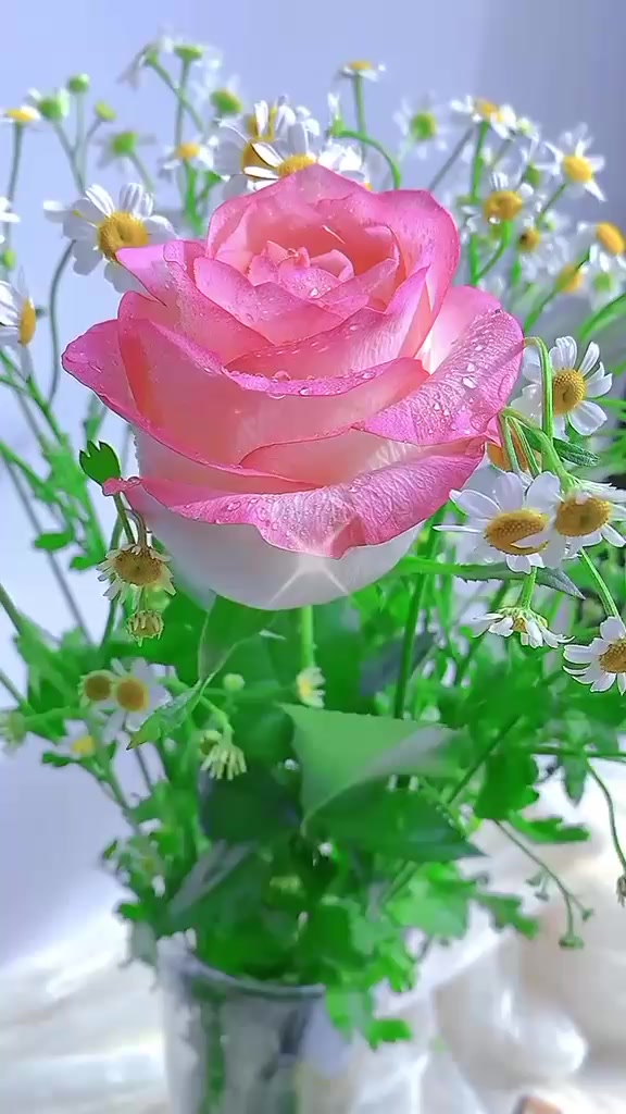 @✝️🤲❤️ K Kumari ❤️✝️🤲