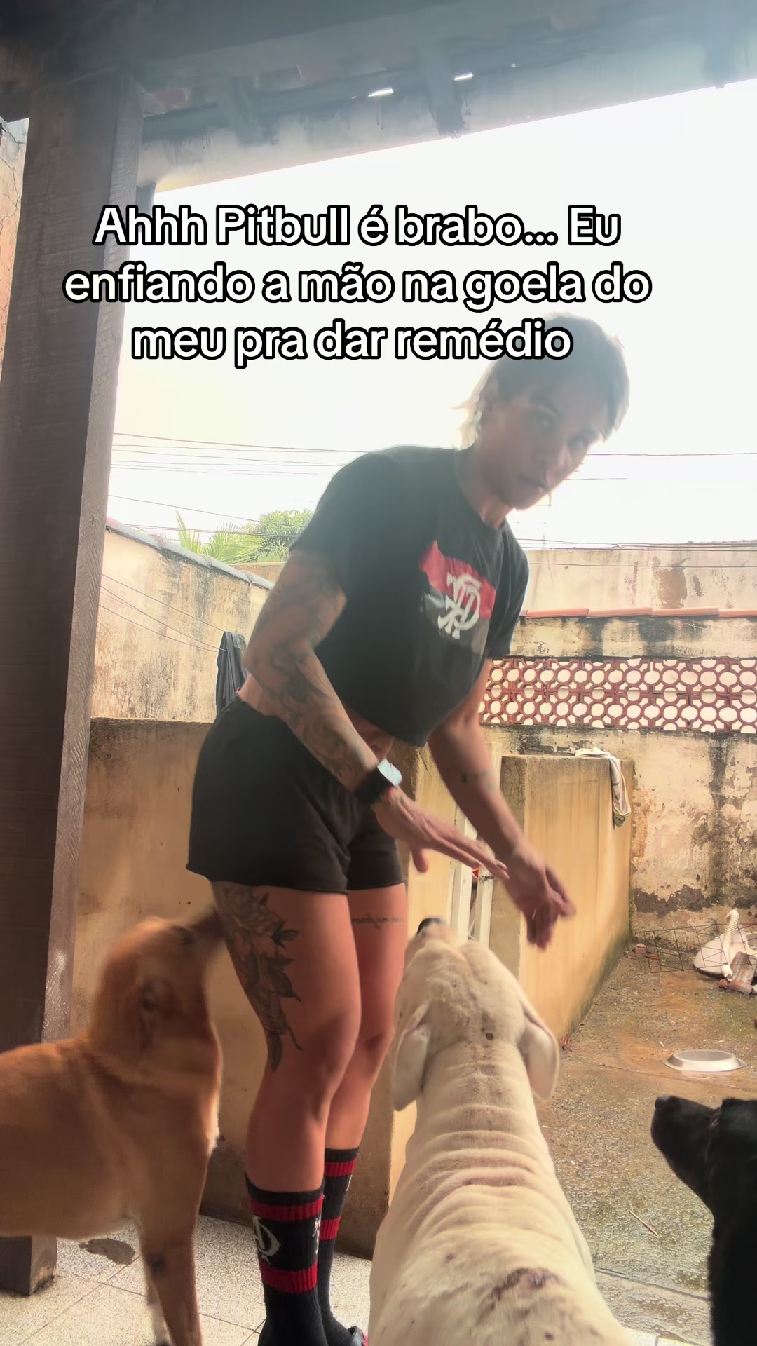 @Raquel Bombardeli