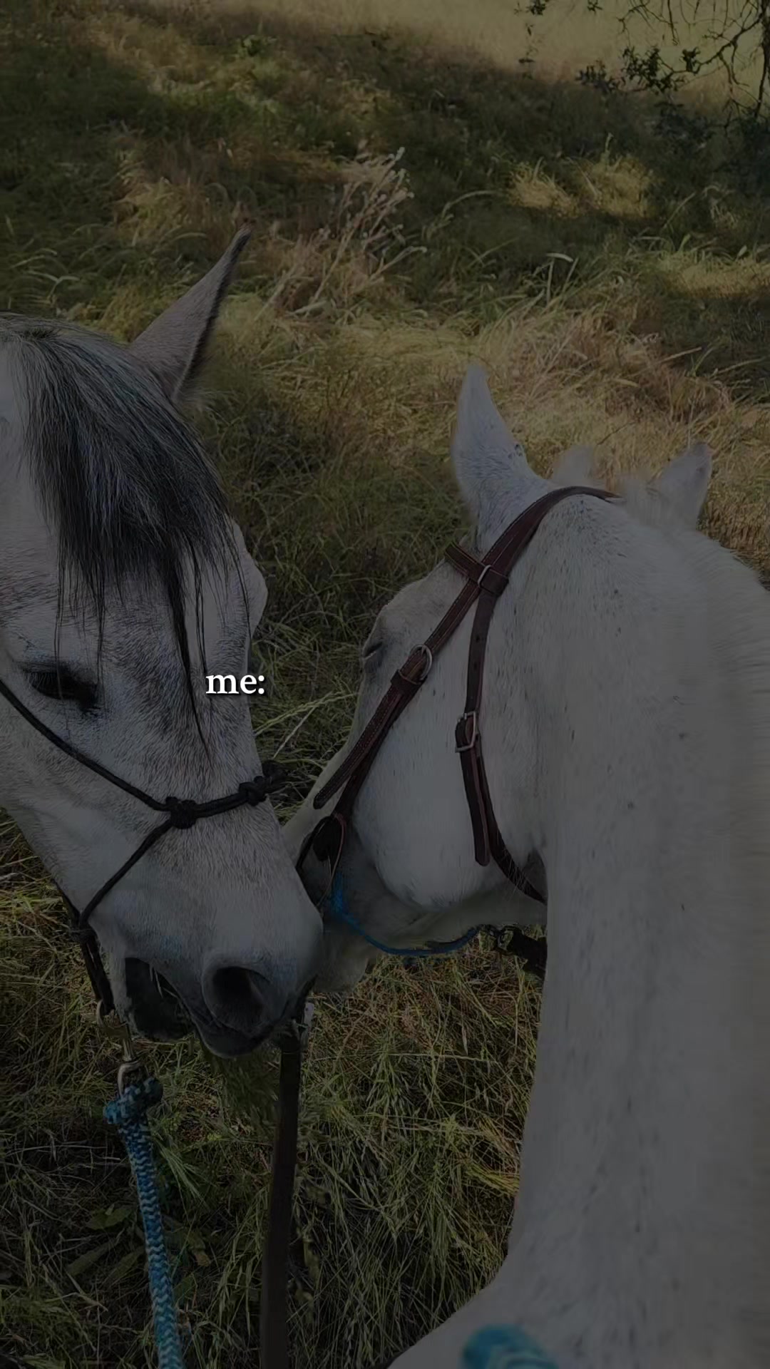 @Lyndsey