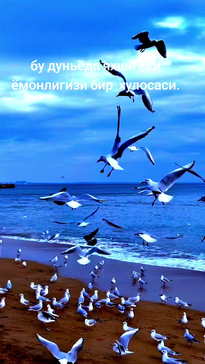 @оллох ягонадур