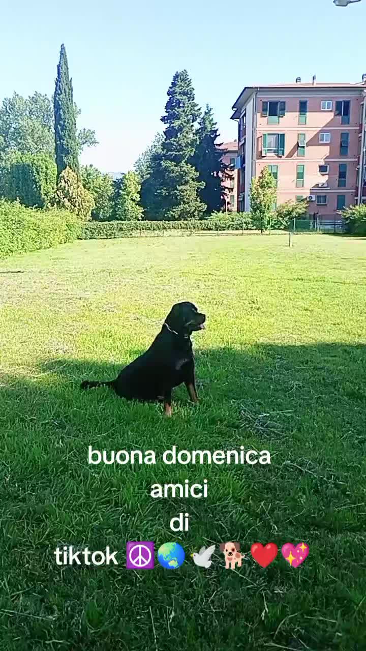 @Pasquale Guadagno551
