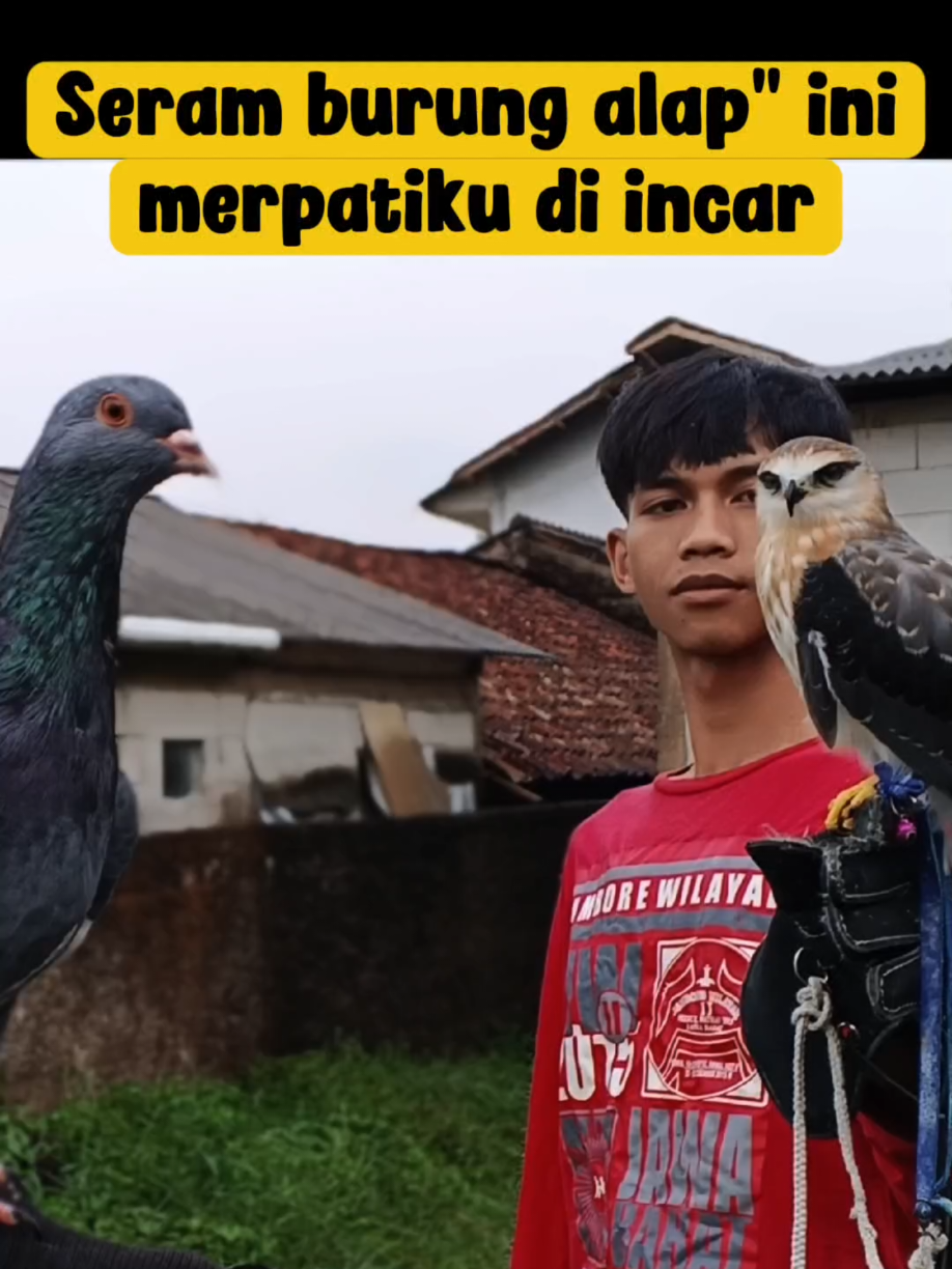 @BANG LEYON