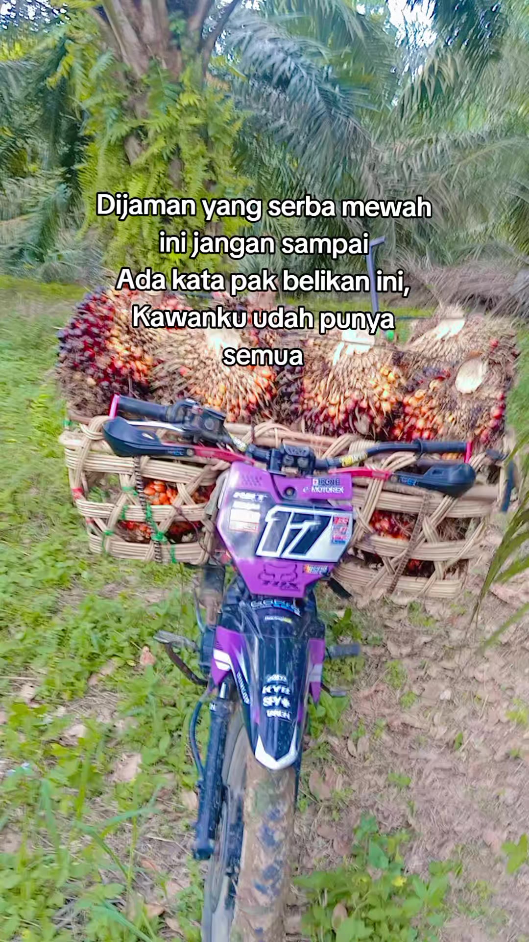 @(TARIADI@17.