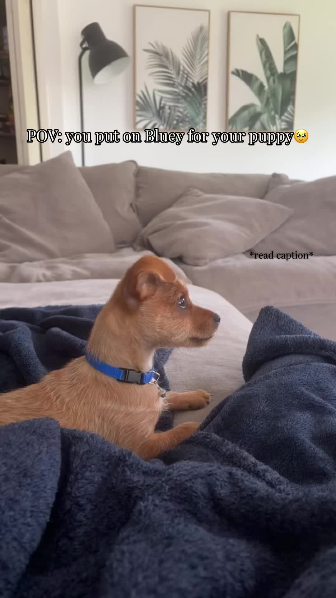 @Itty