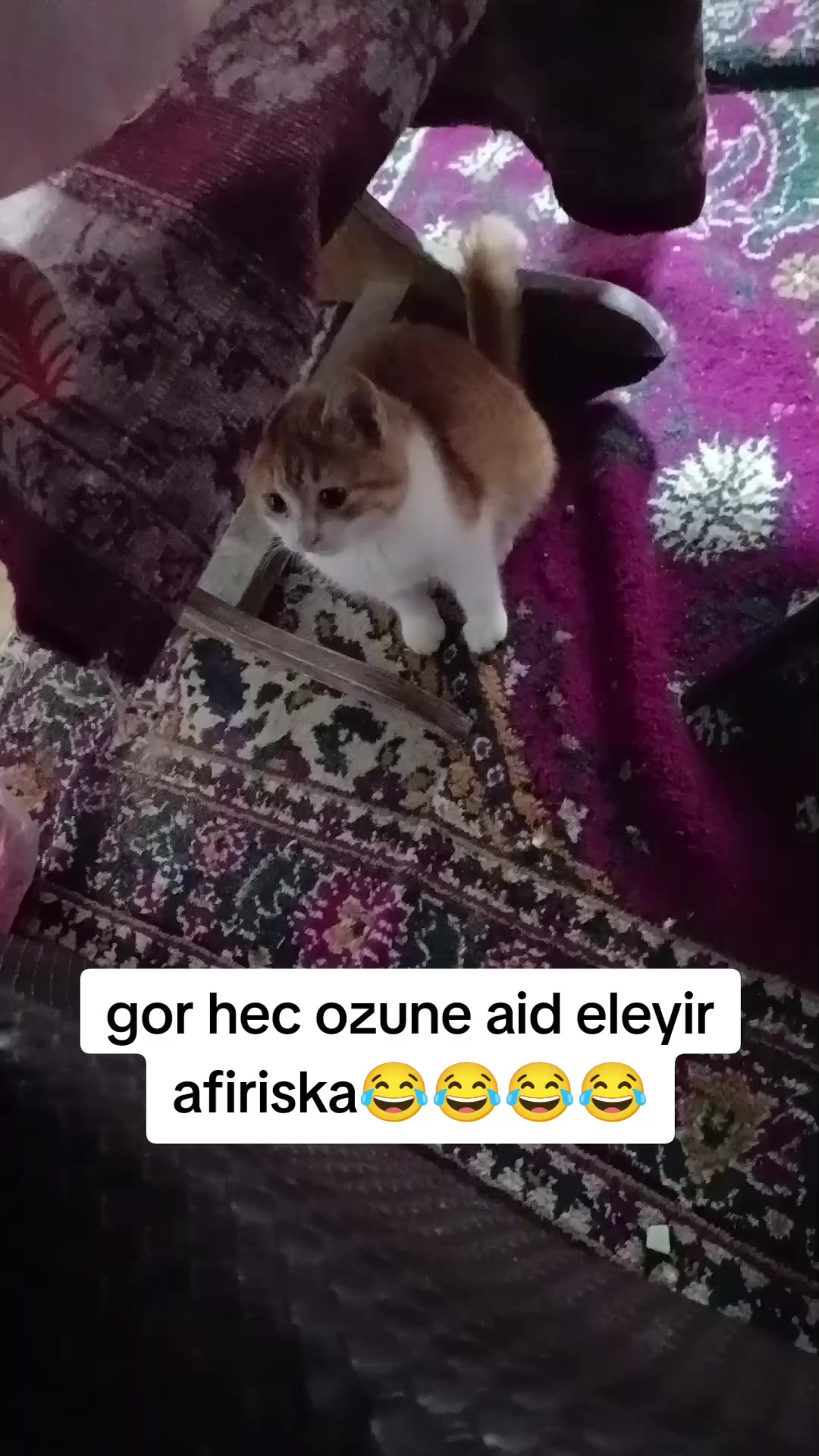 @xeyalrm