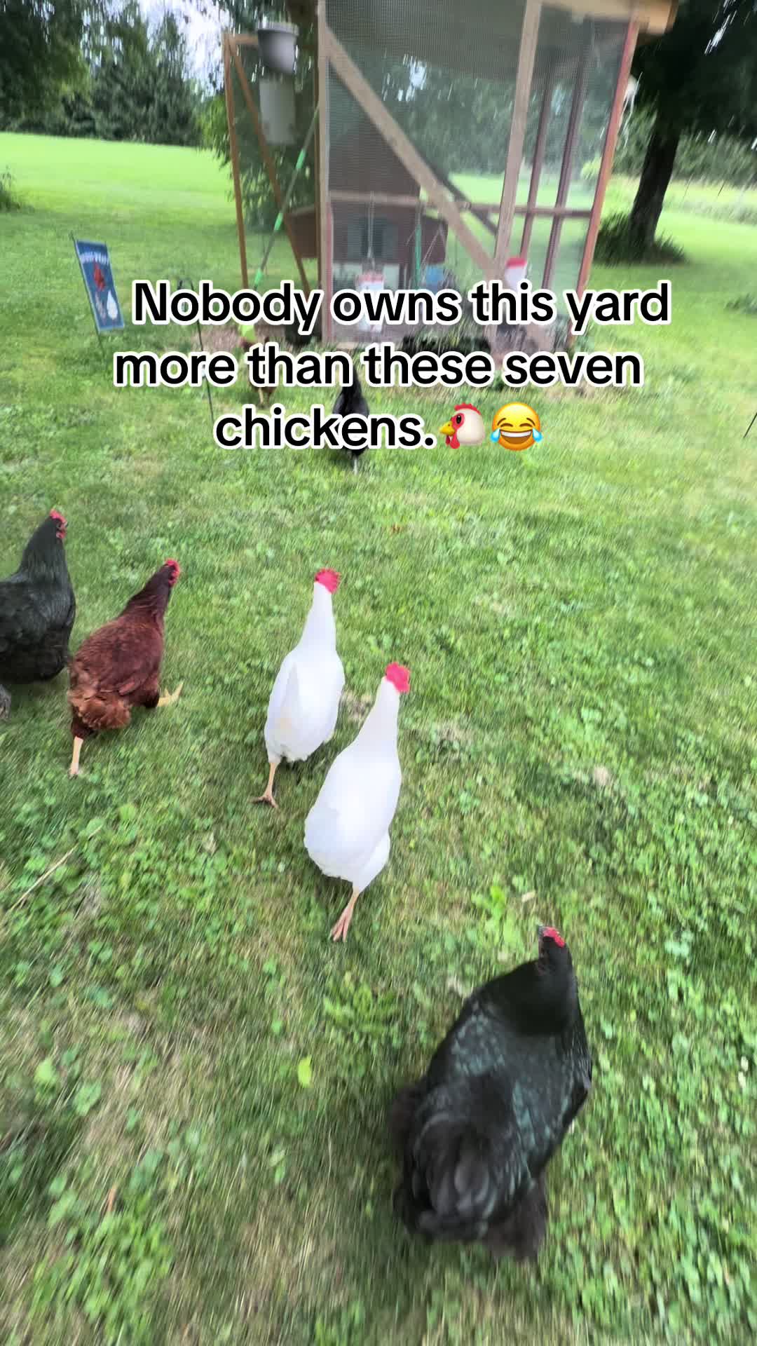 @Resistance Homesteaders