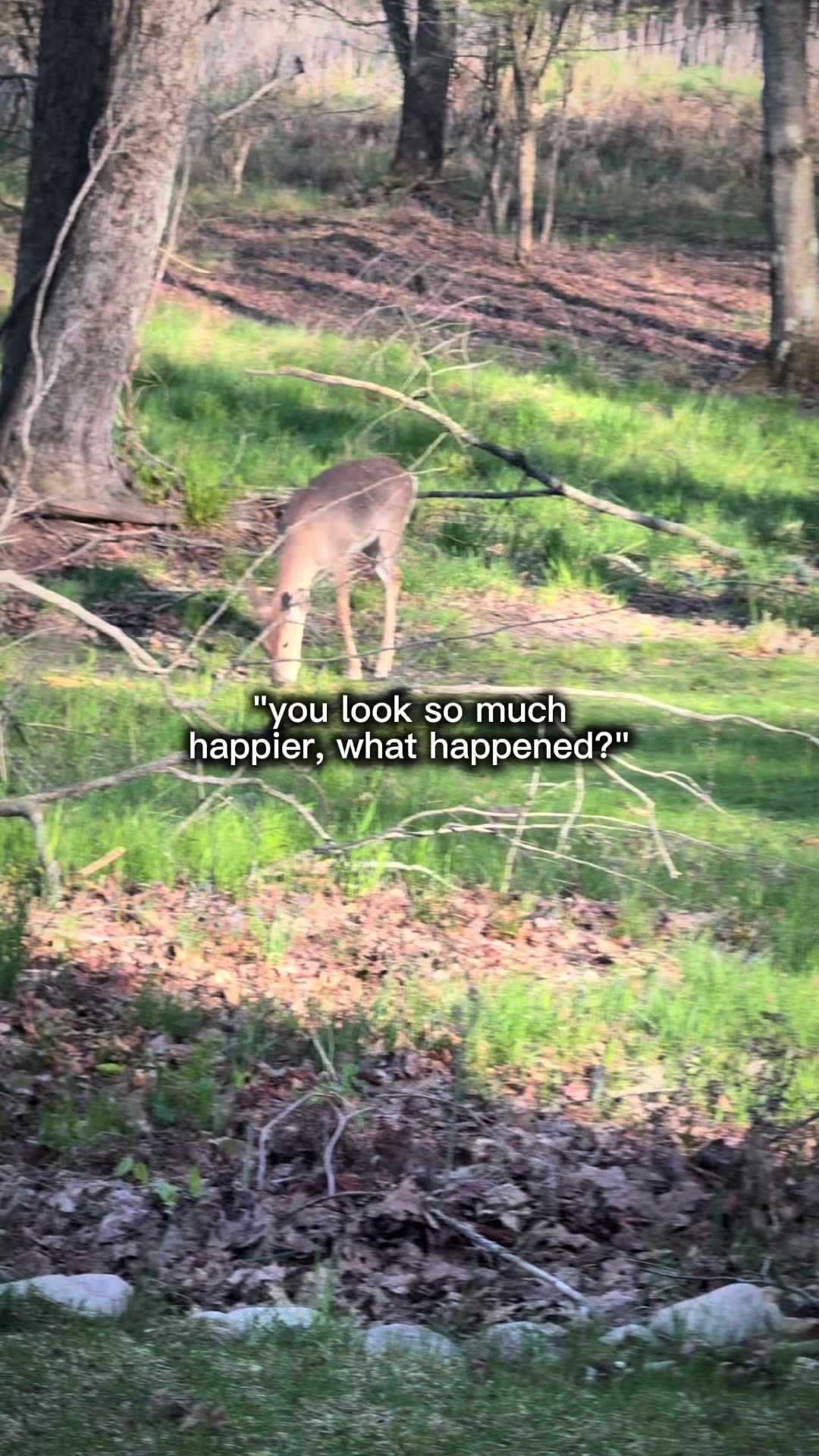 @Krysta Mumford
