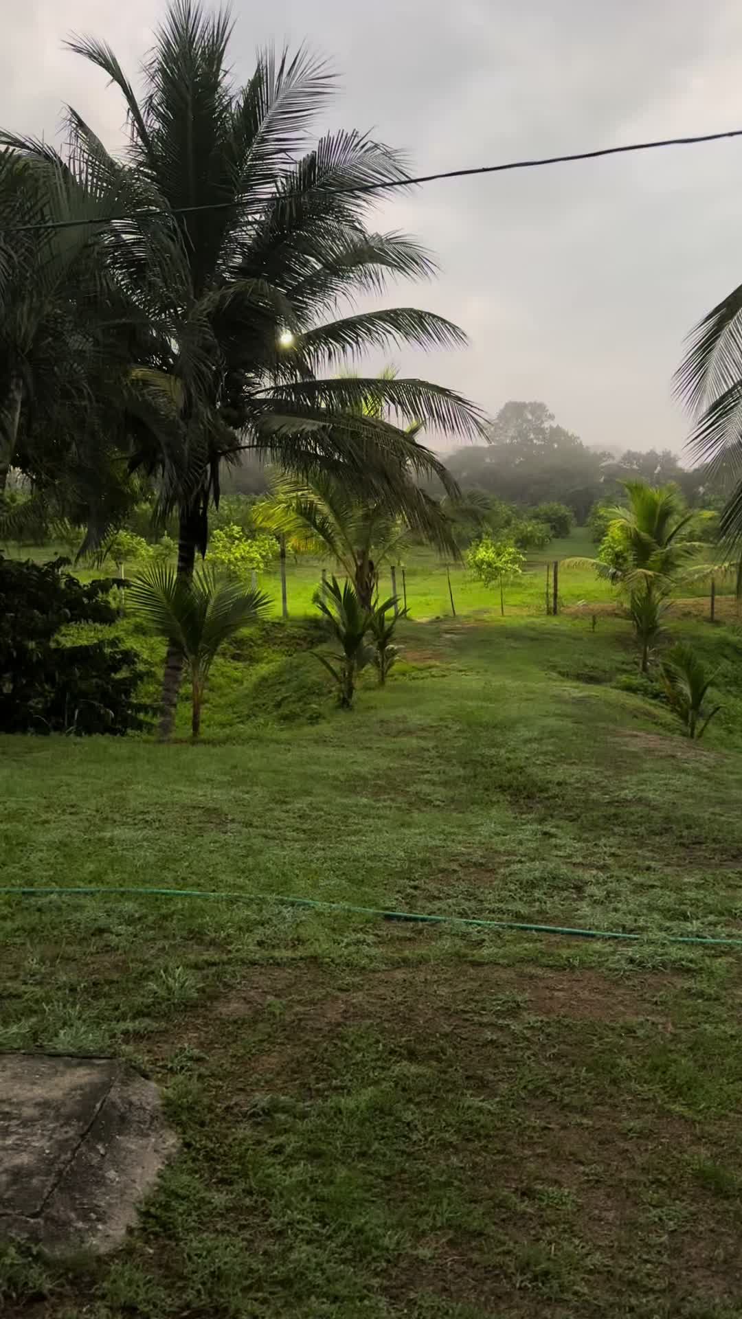 @Granjamascotalandiayaracuy
