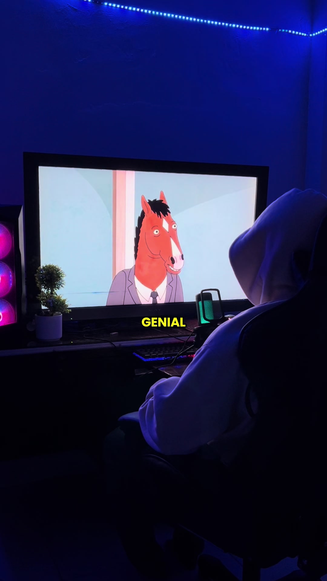 @Jerry Andrés 🐼